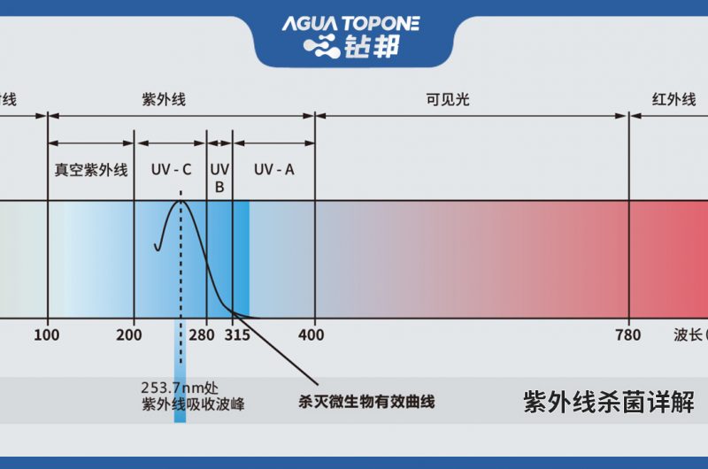 紫外線(xiàn)殺菌詳解1280x720(1)