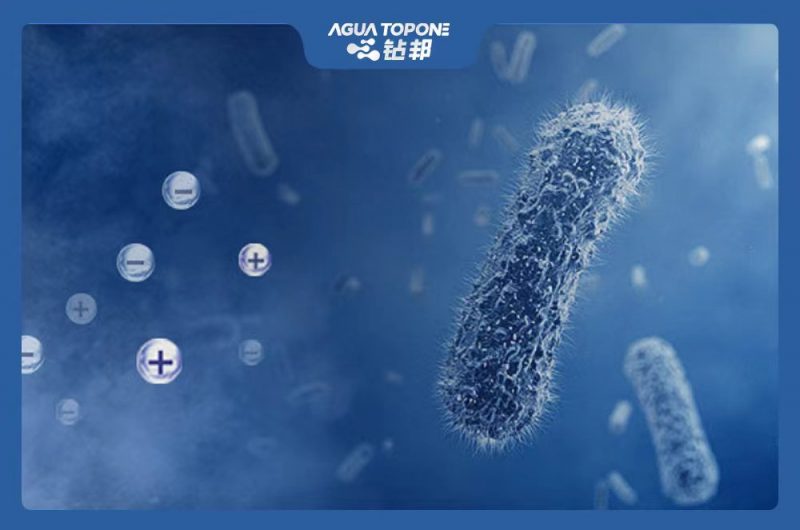 a892dc605640822f51524406eb14393